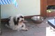 Thumbs/tn_Bild-01 020.jpg